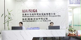东莞市马驰注塑模具厂
