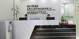 东莞市马驰科注塑模具厂