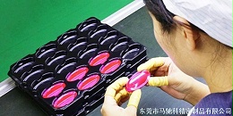 东莞市马驰科注塑加工厂