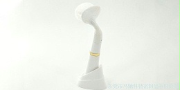东莞市马驰科注塑模具厂